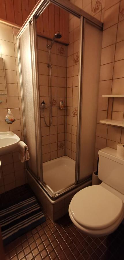 B&B Pension Laerch Obergesteln Екстериор снимка